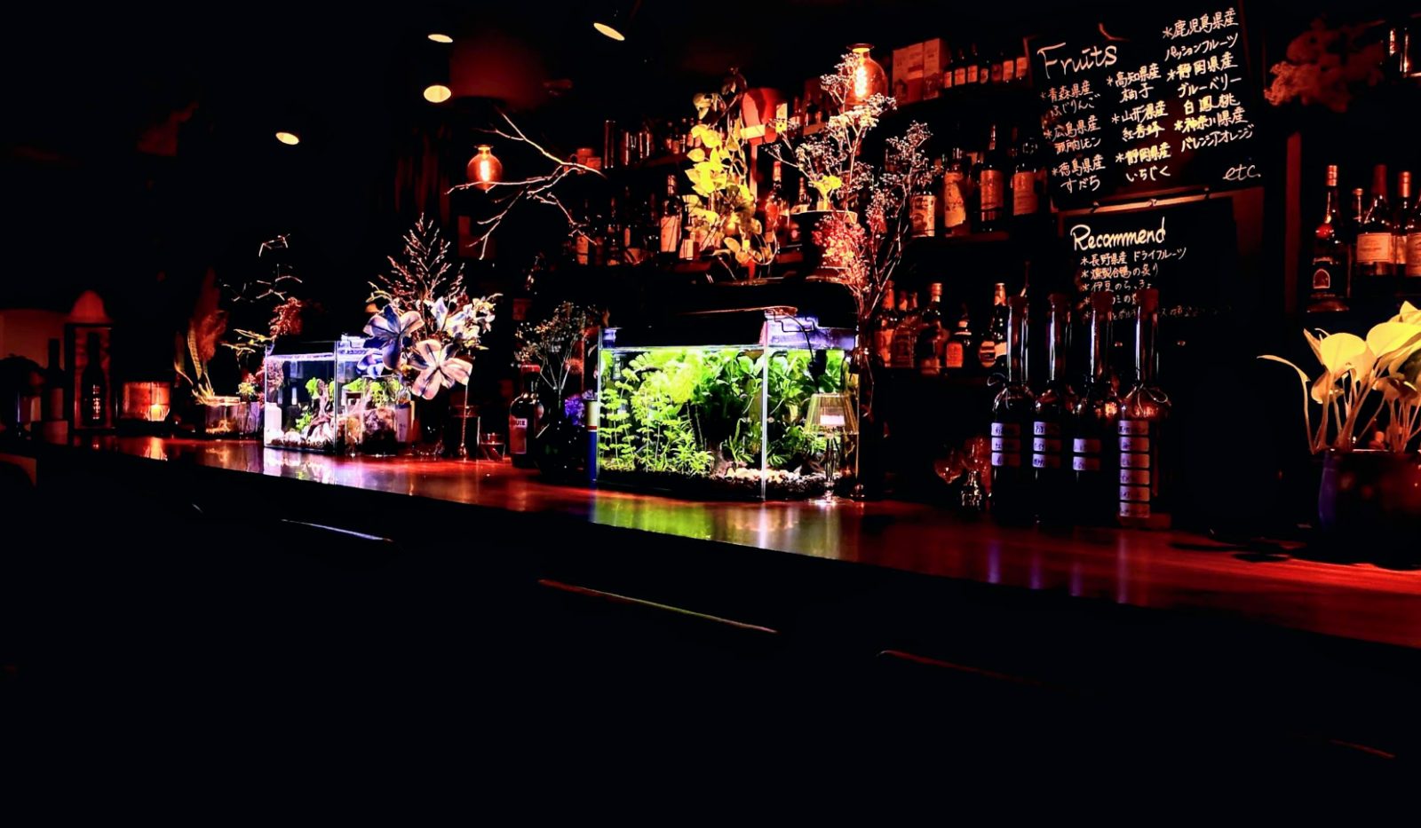 Bar triangle 店内写真